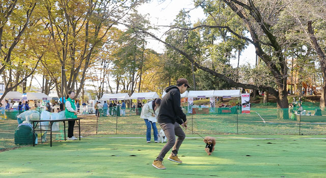 わんちゃんと一緒に挑戦！