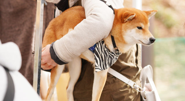 お手入れブース