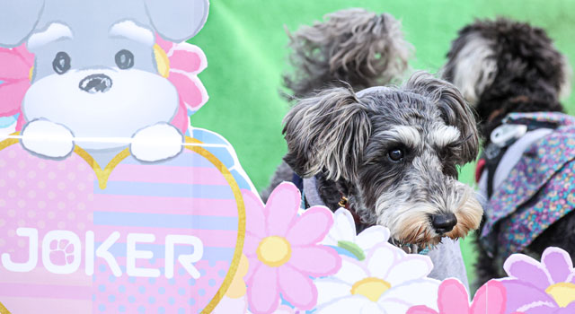 フォトスポット