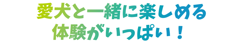愛犬と一緒に楽しめる体験がいっぱい